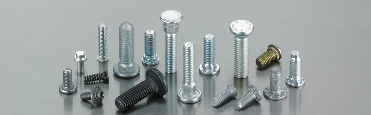 Einpress- und Nietbolzen